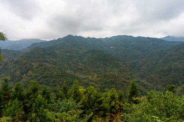 Mountain with fall autumn colors trees - gold, orange, red and green
