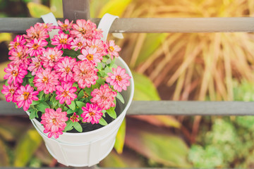 Beautiful artificial flowers in small pots hanging to decorate a railing walk for beauty on the pathway in public gardens. Selective focus.