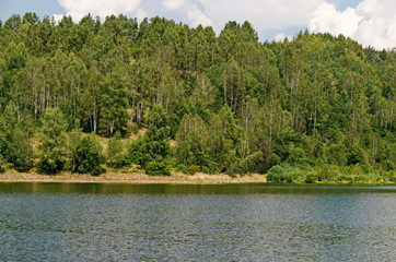 Landscape with floating island, part peat two metre deep with vegetation and animals in Vlasina...