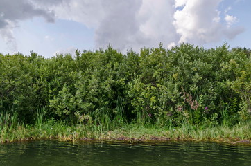 Landscape with floating island, part peat two metre deep with vegetation and animals in Vlasina...