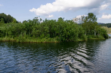 Landscape with floating island, part peat two metre deep with vegetation and animals in Vlasina mountain lake, anchored to the shore by land, South eastern Serbia, Europe 