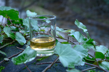 Scotch single malts or blended whisky spirits in glasses with water of river Spey on background,...