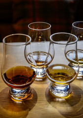 Flight of Scottish whisky, tasting glasses with variety of single malts or blended whiskey spirits on distillery tour in Scotland
