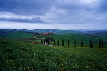 Naklejka premium Amazing spring landscape with green rolling hills, cypresses and farm house in the heart of Tuscany after sunset