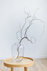 a winding branch in clear glass vase wood table white background interior