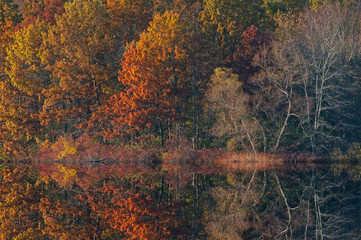 Autumn landscape with mirrored reflections in calm water, Jackson Hole Lake, Fort Custer State Park, Michigan, USA