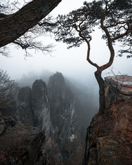 Wanderung zur Bastei im Nebel Sächsische Schweiz 