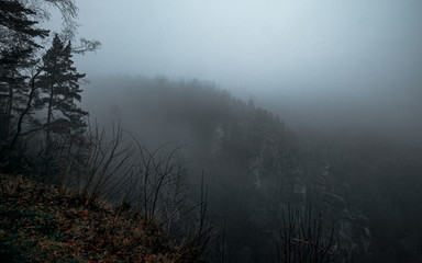 Fototapeta na wymiar Wanderung zur Bastei im Nebel Sächsische Schweiz 