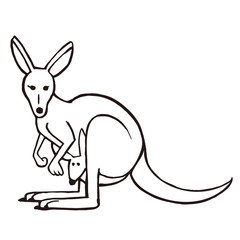 こちらを向いているカンガルーの親子　黒線