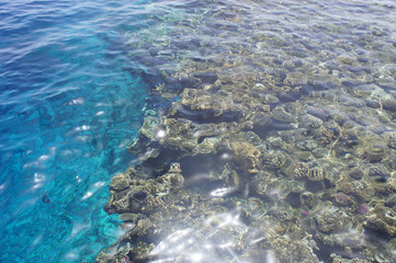 Fototapeta na wymiar Coral reef in a bright blue sea from above with sun glare on the surface of the water