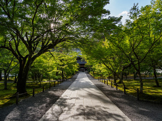 早朝の南禅寺