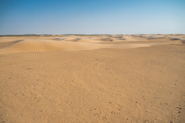 Sahara Desert
Wide plans for a great sunny space full of sand.