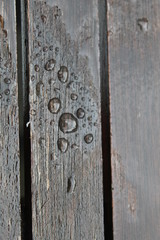 Wassertropfen auf Holz