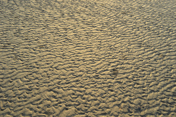 Beautiful design formation of soft soil on sea beach by low tide