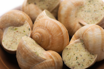still life of stuffed snail sauce, on a white background