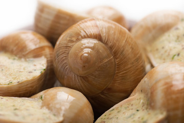 still life of stuffed snail sauce, on a white background