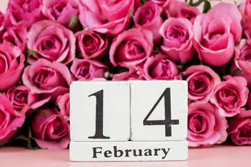 Pink rose flower and 14th February Calendar on pink background. Love, Romantic and Happy Valentines day Holiday concept