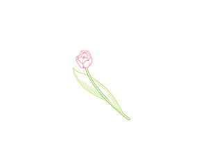 Vector illustration of tulips, spring flowers. Tulip icon. Symbol for Women's Day.