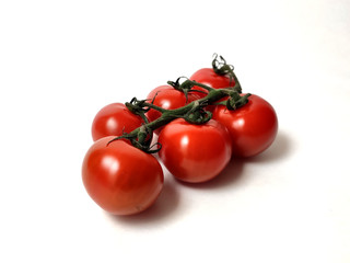 Fresh Cherry Tomatoes on branch Isolated on white background.