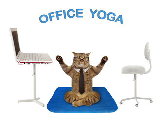 The beige cat office worker weared in a black tie and glasses is doing yoga exercise on a fitness blue mat near his workplace with a computre. White background. Isolated.