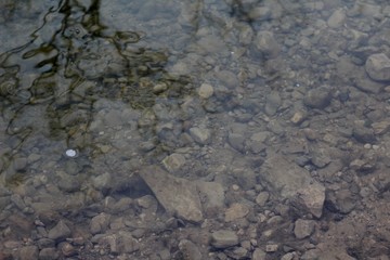 A close view of the rocks in the clear creek water.