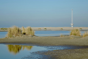 Netherlands. The landscape of the dunes in Zuid-Holland