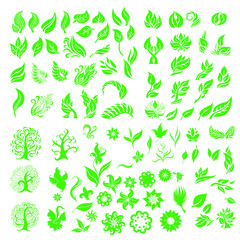 Vector plant and flowers graphic set