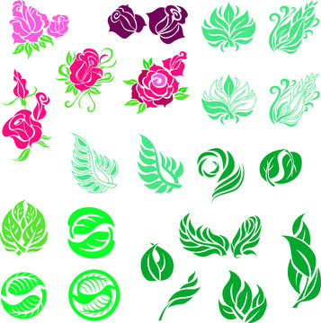 Vector plant and flowers graphic set