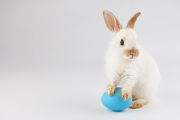 Easter bunny rabbit with blue egg