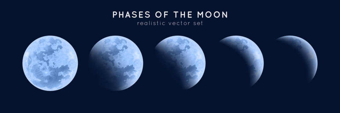 Realistic phases of the moon. Vector elements lunar collection. Moonlight