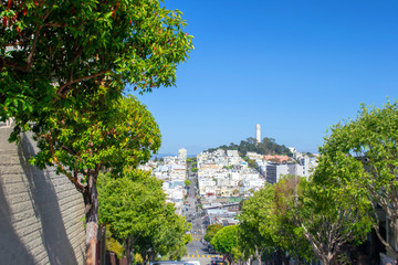 Obraz premium San Fran View