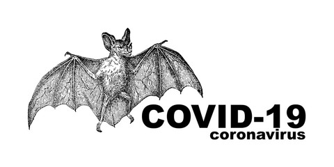 Coronavirus COVID-19 - 2019 Coronavirus Disease