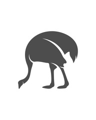 Ostrich logo vector, Animal graphic, Ostrich design Template illustration