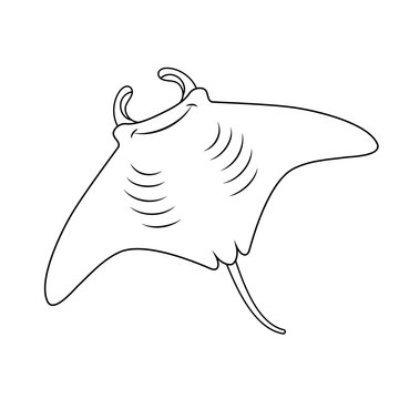 Manta ray outline drawing. Vector Illustration.