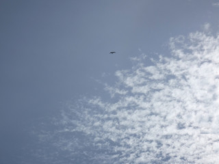In volo