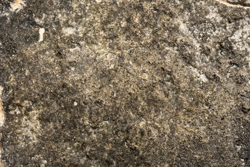 Rock texture and background at the beach