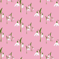 Flat seamless floral pattern in vector. Spring snowdrops Isolated on pink background.