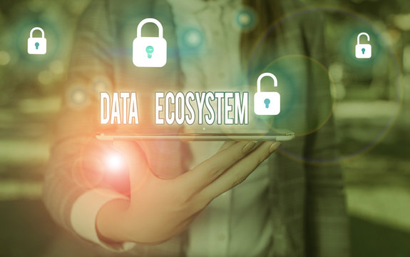 Word writing text Data Ecosystem. Business photo showcasing collection of infrastructure used to capture and analyze data