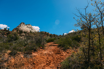 Nature landscape of Zion National Park, USA. This nature landscape is taken at Observation Point in Zion National Park. This nature landscape is also taken during the day. - Image