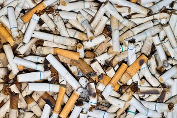 Discarded cigarette butts close up in an ashtray. Full frame image, nicotine addiction and filthy smoking habit. Unhygienic and dangerous to health concept.