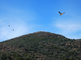 Paesaggio
