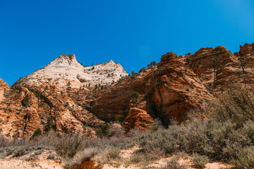 Nature landscape of Zion National Park, USA. This nature landscape is taken at Observation Point in Zion National Park. This nature landscape is also taken during the day. - Image