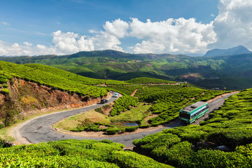 Passenger bus on road in tea plantations, India