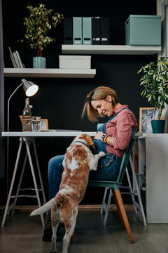 Smiling Charming Caucasian Pregnant Woman Sitting At Home Office, Touching Belly And Looking At Her Beloved Dog. Dog Is Curious And Wants To Play With Her.