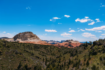Rare landscape of South Guardian Angel from the top. Hoodoo and trees, Zion National Park - Image. Blue sky, bright colors.