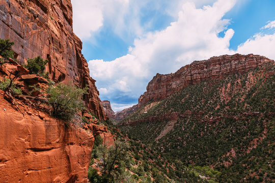 Landscape at the bottom of the gorge of a red slot canyon background Zion National Park, Utah - Image