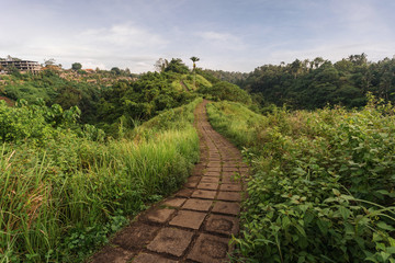 Fototapeta na wymiar Landscape view of Campuhan Ridge Walk, Ubud, Bali, Indonesia
