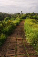Fototapeta na wymiar Morning on Campuhan Ridge Walk, Ubud, Bali, Indonesia