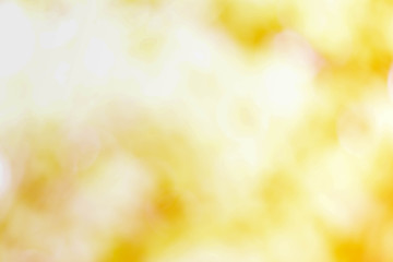 background from nature under tree shade