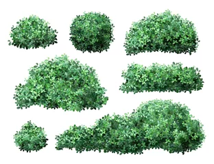 Foto op Canvas Realistic garden shrub. Nature green seasonal bush, boxwood, floral branches and leaves, tree crown bush foliage. Garden green fence vector illustration set. 3d public park and garden elements © WinWin